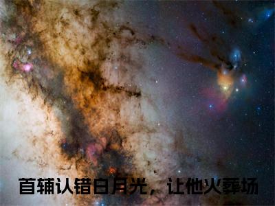 首辅认错白月光，让他火葬场（韩屹柳慕杨无弹窗）全文免费阅读无弹窗大结局_（首辅认错白月光，让他火葬场全文免费阅读无弹窗）韩屹柳慕杨无弹窗最新章节列表_笔趣阁（首辅认错白月光，让他火葬场）
