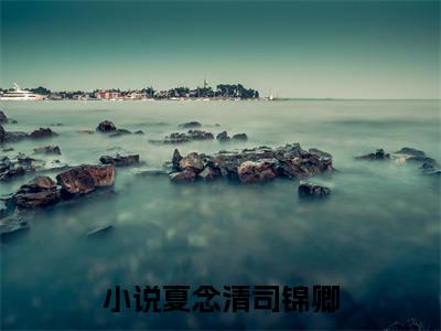 男女主人公叫夏念清司锦卿的小说夏念清司锦卿免费在线