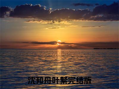 毁婚在哪免费看 毁婚结局是什么（沈知舟叶繁）小说无弹窗免费阅读