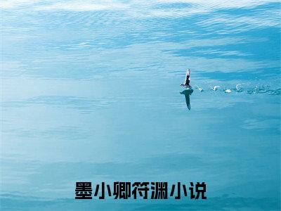 （墨小卿符渊）全文免费阅读无弹窗大结局_墨小卿符渊免费小说最新章节列表笔趣阁（墨小卿符渊）