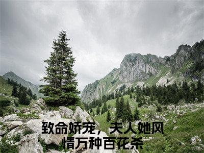 夜听寒南希小说最新章节阅读 夜听寒南希致命娇宠，夫人她风情万种百花杀全文免费阅读最新章节大结局