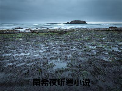 致命娇宠，夫人她风情万种百花杀（南希夜听寒）热门免费小说-南希夜听寒（致命娇宠，夫人她风情万种百花杀）精彩小说全文赏析