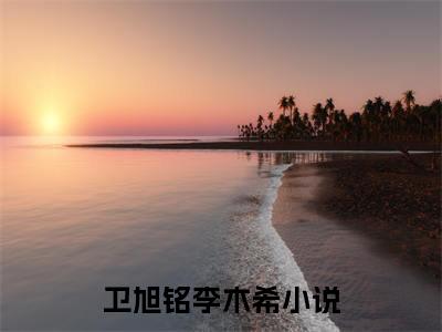 热门小说推荐卫旭铭李木希，卫旭铭李木希免费阅读