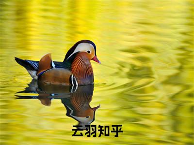 重生高三，渣了白月光云羽小说全文免费阅读_云羽（重生高三，渣了白月光）最新章节列表笔趣阁