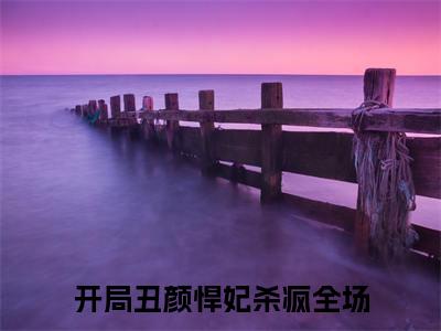 开局丑颜悍妃杀疯全场（云圣倾楚宸渊）完整全文在线阅读_云圣倾楚宸渊小说全章节目录阅读（开局丑颜悍妃杀疯全场）