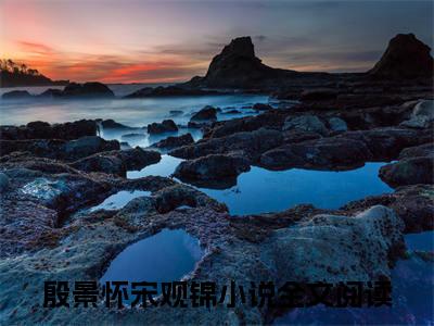 她女扮男装一心为他，他全心全意只有利用(殷景怀宋观锦)全文免费阅读无弹窗大结局_(她女扮男装一心为他，他全心全意只有利用免费阅读全文大结局)最新章节列表_笔趣阁（殷景怀宋观锦）
