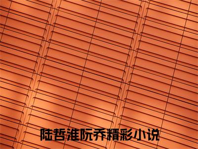 陆哲淮阮乔小说（陆哲淮阮乔）全文免费阅读无弹窗大结局_陆哲淮阮乔最新章节在线阅读