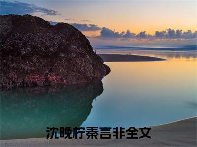 沈晚柠秦言非全文（沈晚柠秦言非）全文免费阅读无弹窗大结局_沈晚柠秦言非全文最新章节列表_笔趣阁（沈晚柠秦言非）