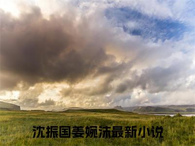 沈振国姜婉沫（沈振国姜婉沫）经典小说全文免费阅读无弹窗_（沈振国姜婉沫）小说全文免费阅读最新章节_笔趣阁