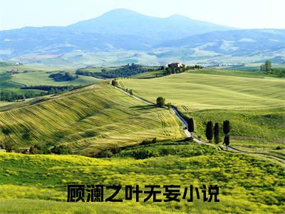【新书】顾澜之叶无妄全文全章节免费阅读-顾澜之叶无妄小说免费阅读无弹窗最新章节列表