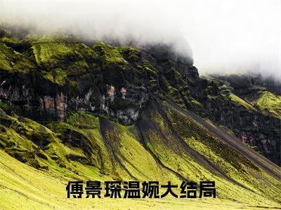 傅景琛温婉全文免费阅读（傅景琛温婉免费阅读无弹窗）傅景琛温婉精彩小说阅读_笔趣阁
