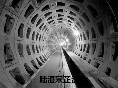 陆湛宋芷溪全文免费阅读无弹窗大结局-陆湛宋芷溪全文在线阅读