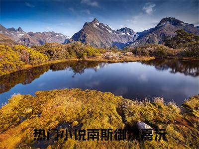 南斯御沈嘉沅小说（南斯御沈嘉沅）全文免费阅读无弹窗大结局_（南斯御沈嘉沅）结局最新章节列表_笔趣阁