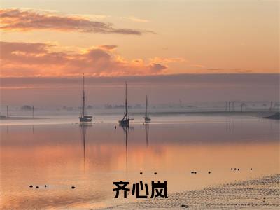 回归八零再就业热门的小说齐心岚最新更新回归八零再就业-回归八零再就业无删减版