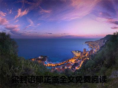 梁封诏郁芷鸢免费小说全文免费阅读无弹窗大结局_梁封诏郁芷鸢完结版在线阅读