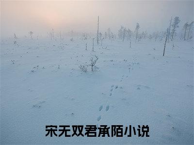 宋无双君承陌（宋无双君承陌）全文免费阅读无弹窗大结局_宋无双君承陌最新章节列表