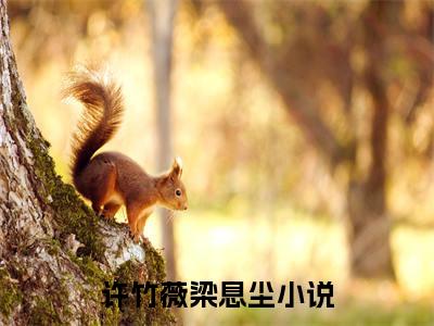 许竹薇梁息尘（许竹薇梁息尘小说）全文免费阅读无弹窗大结局_许竹薇梁息尘小说最新章节列表_笔趣阁（许竹薇梁息尘）