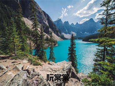 阮棠棠全文推荐阅读，快穿：福孕小娇娇驾到，通通闪开热门榜单免费新书阅读