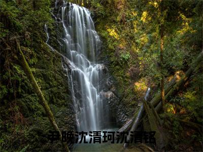 星河滚烫（尹晚沈清珂沈清铭）小说全文免费阅读无弹窗大结局_（尹晚沈清珂沈清铭）星河滚烫最新章节列表（星河滚烫）