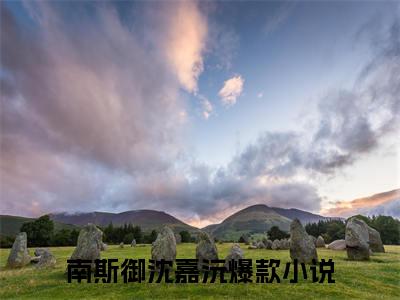 南斯御沈嘉沅全文免费阅读无弹窗大结局_(南斯御沈嘉沅免费阅读)南斯御沈嘉沅最新章节列表_笔趣阁