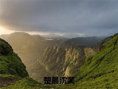 楚晨沈芙（楚晨沈芙)全文免费阅读无弹窗大结局_楚晨沈芙全文免费阅读_笔趣阁（楚晨沈芙）