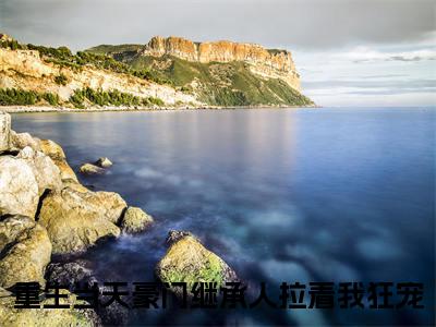苏薇时宴（重生当天豪门继承人拉着我狂宠）全文免费阅读无弹窗大结局_苏薇时宴免费最新章节列表_笔趣阁