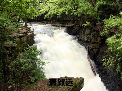 神豪：直播获得透视，逍遥都市小说（萧致远）精彩章节-萧致远全文免费在线阅读
