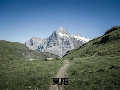 小说名字是：女尊世界的病娇拯救计划小说免费阅读无弹窗,小说名字是：夏阳的小说在线阅读无删减