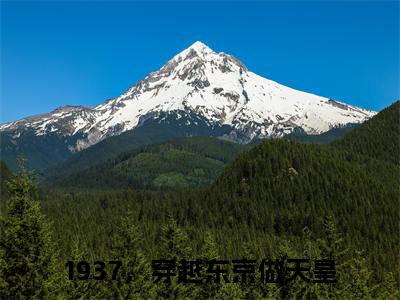 1937，穿越东京做天皇全集小说（苏仁）全文免费阅读无弹窗大结局_苏仁最新章节列表_笔趣阁（1937，穿越东京做天皇）