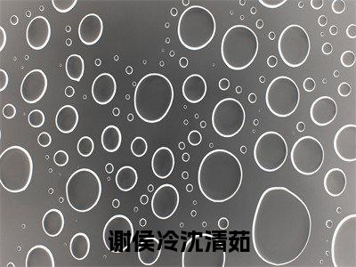 高赞小说（谢侯冷沈清茹小说免费阅读）完结阅读_谢侯冷沈清茹全文免费阅读最新章节大结局