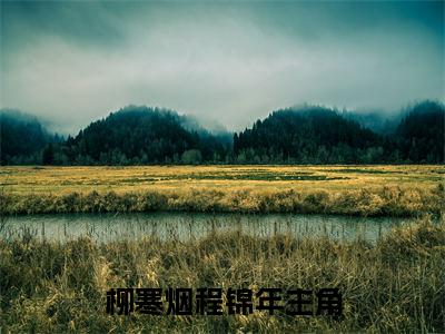 柳寒烟程锦年（柳寒烟程锦年）全文免费阅读无弹窗大结局_柳寒烟程锦年全文免费阅读（柳寒烟程锦年）最新章节列表_笔趣阁（柳寒烟程锦年）