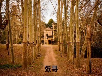 张寻（完整版）小说推荐-张寻热文小说我有一座关帝庙免费阅读全文