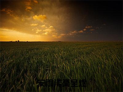 安雨浠莫呈煜（安雨浠莫呈煜）全文免费阅读无弹窗大结局_安雨浠莫呈煜全文免费阅读最新章节列表_笔趣阁（安雨浠莫呈煜）