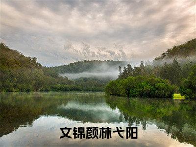 文锦颜林弋阳(文锦颜林弋阳)全文免费阅读_文锦颜林弋阳（文锦颜林弋阳在线小说免费阅读）全文阅读
