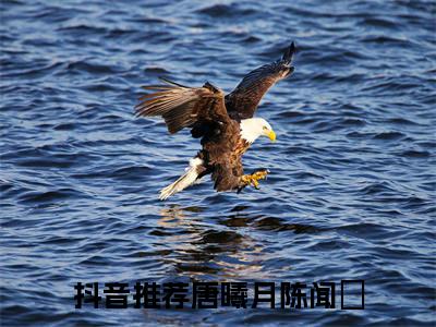 唐曦月陈闻璟小说免费（唐曦月陈闻璟免费阅读）唐曦月陈闻璟全文免费阅读无弹窗大结局_唐曦月陈闻璟小说最新章节列表（唐曦月陈闻璟）