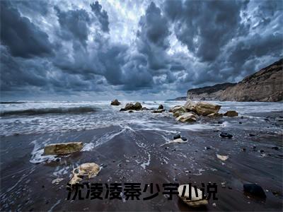 沈凌凌秦少宇小说（沈凌凌秦少宇）全文免费阅读无弹窗_沈凌凌秦少宇小说最新章节免费阅读_笔趣阁