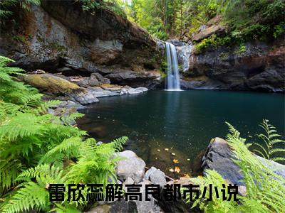 小说雷欣蕊解高良全文阅读-（雷欣蕊解高良）小说雷欣蕊解高良大结局