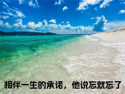 相伴一生的承诺，他说忘就忘了小说_罗笙婉孟若博全文阅读_小说罗笙婉孟若博免费阅读最新章节列表(相伴一生的承诺，他说忘就忘了)笔趣阁