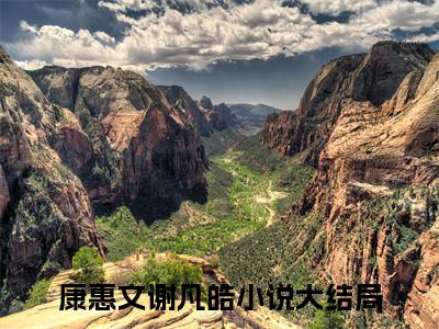 全章节完整《康惠文谢凡皓》全文阅读《康惠文谢凡皓》
