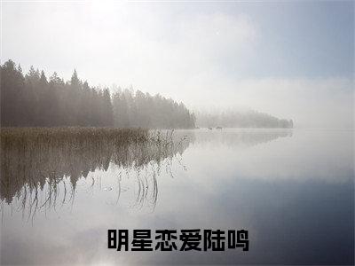 热门榜单精彩小说明星恋爱陆鸣，明星恋爱陆鸣推荐小说免费章节阅读