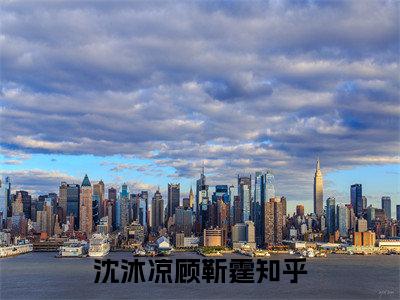 沈沐凉顾靳霆全文免费阅读无弹窗大结局,沈沐凉顾靳霆完整版在线阅读