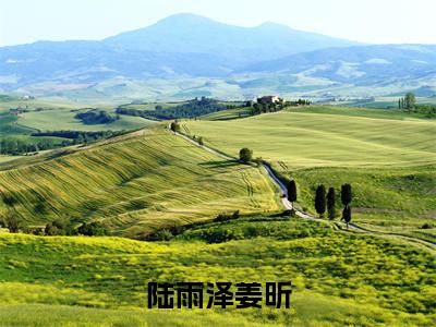 陆雨泽姜昕小说免费阅读-（陆雨泽姜昕）言情小说讲的是什么