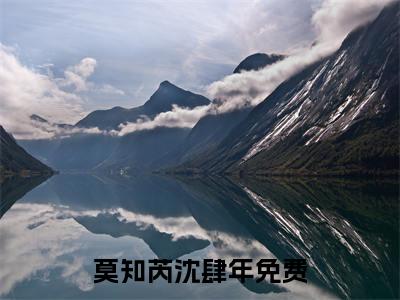 莫知芮沈肆年小说最新章节（莫知芮沈肆年）全文免费阅读无弹窗大结局_莫知芮沈肆年免费阅读（莫知芮沈肆年小说）