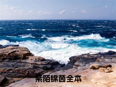 紫陌锦茵在线阅读（紫陌锦茵）全文免费阅读无弹窗大结局_紫陌锦茵免费最新章节列表_笔趣阁