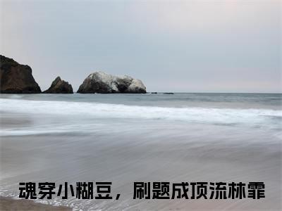 魂穿小糊豆，刷题成顶流（魂穿小糊豆，刷题成顶流）全文免费阅读无弹窗_林霏小说在线阅读_笔趣阁