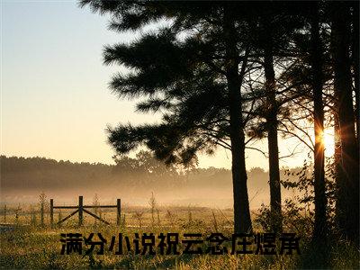 祝云念庄煜承txt（祝云念庄煜承）全文免费阅读无弹窗大结局_祝云念庄煜承最新章节列表_笔趣阁（祝云念庄煜承）