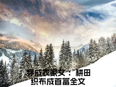七巧（穿成农家女 ：耕田织布成首富）全文免费阅读无弹窗大结局_穿成农家女 ：耕田织布成首富最新章节列表笔趣阁