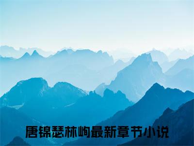 唐锦瑟林峋长篇小说免费阅读-小说最新试读