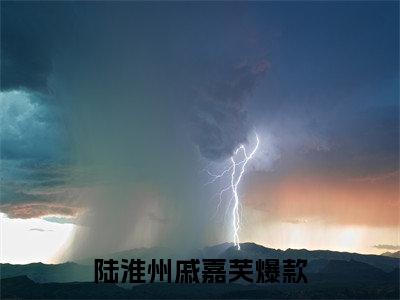 陆淮州戚嘉芙小说全文，陆淮州戚嘉芙无弹窗免费阅读
