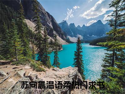 苏向晨温语柔小说全文阅读-（苏向晨温语柔）小说大结局